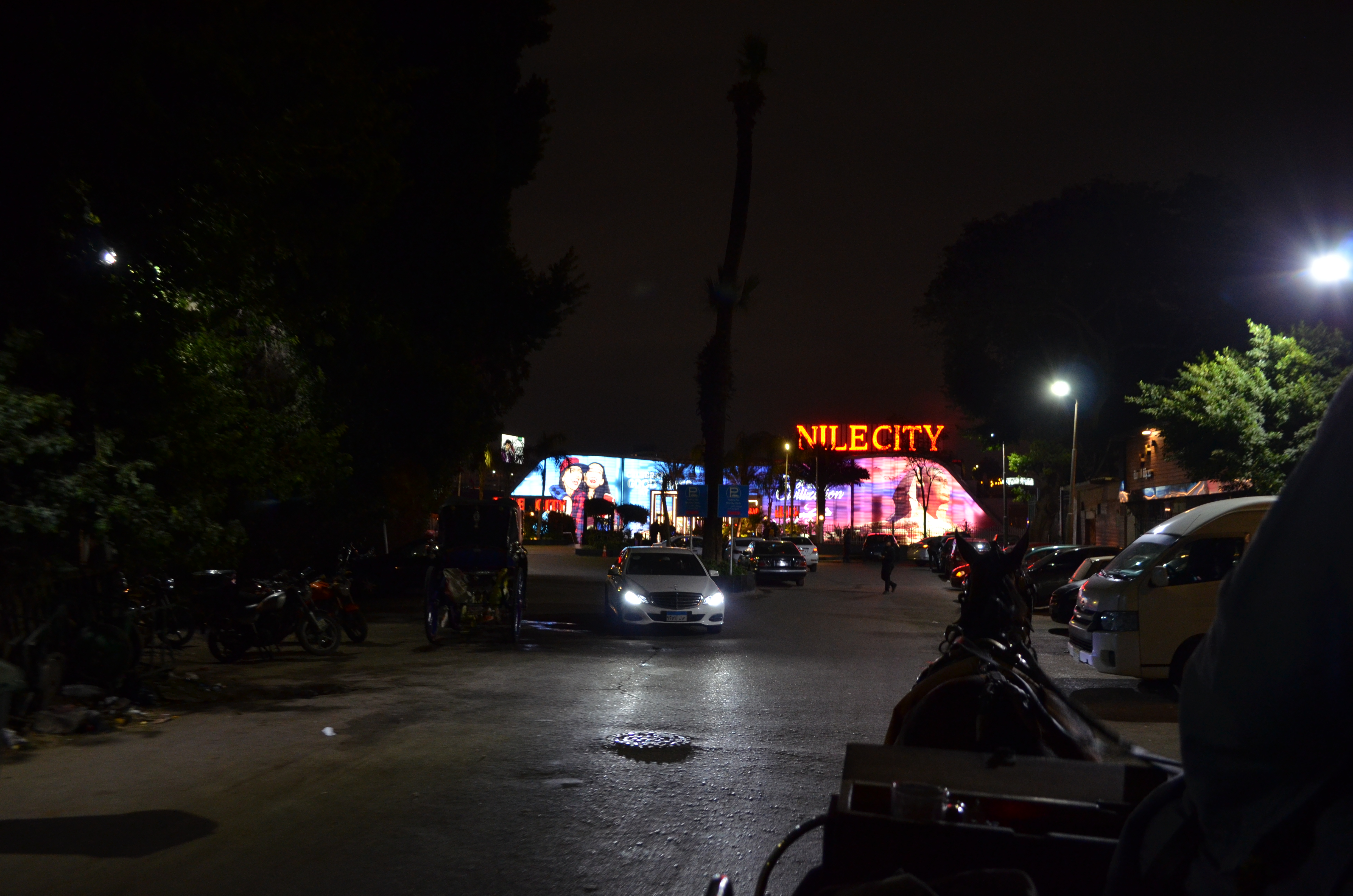 ./2018/16 - Egypt/01 - Cairo Day 2/DSC_0748.JPG